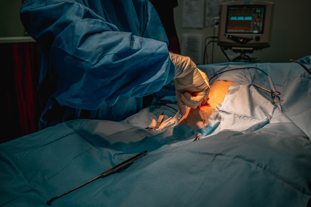 Public Health Activity-Hawaii Personally Owned Animal Spay