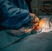Public Health Activity-Hawaii Personally Owned Animal Spay
