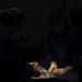 Public Health Activity-Hawaii Personally Owned Animal Spay
