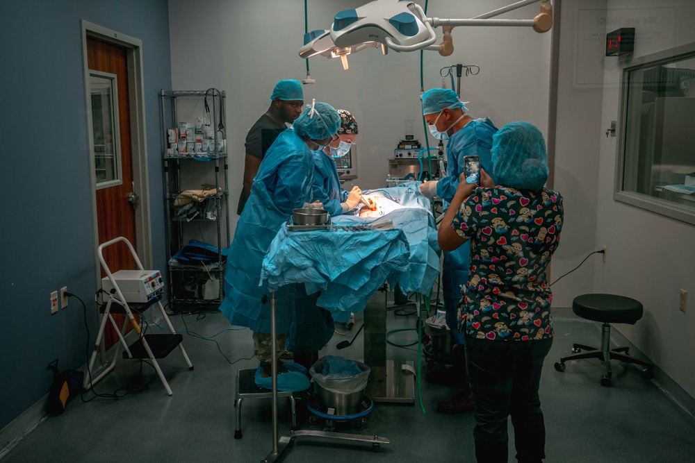 Public Health Activity-Hawaii Personally Owned Animal Spay