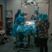 Public Health Activity-Hawaii Personally Owned Animal Spay