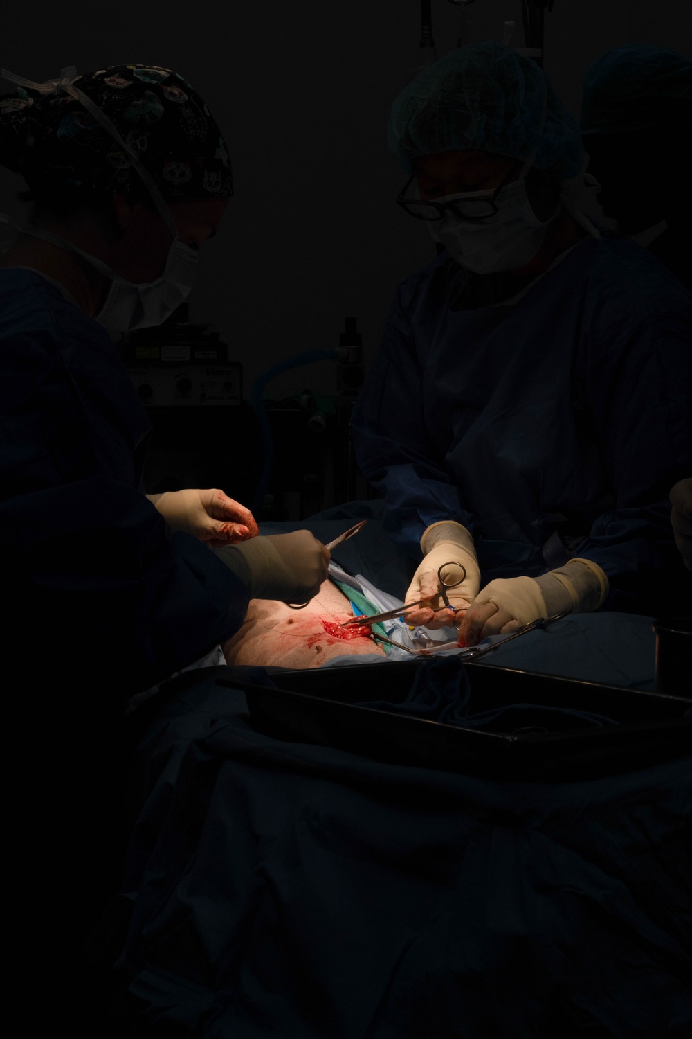 Public Health Activity-Hawaii Personally Owned Animal Spay