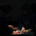 Public Health Activity-Hawaii Personally Owned Animal Spay