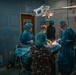 Public Health Activity-Hawaii Personally Owned Animal Spay