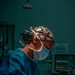 Public Health Activity-Hawaii Personally Owned Animal Spay