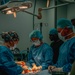 Public Health Activity-Hawaii Personally Owned Animal Spay