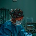 Public Health Activity-Hawaii Personally Owned Animal Spay