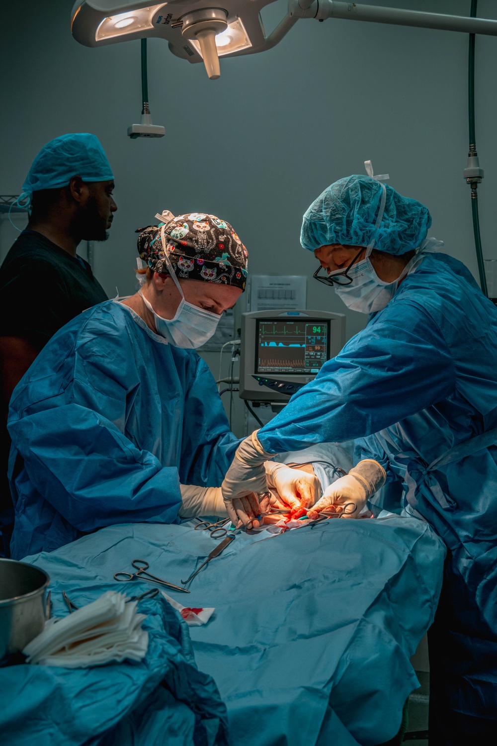 Public Health Activity-Hawaii Personally Owned Animal Spay