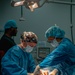 Public Health Activity-Hawaii Personally Owned Animal Spay