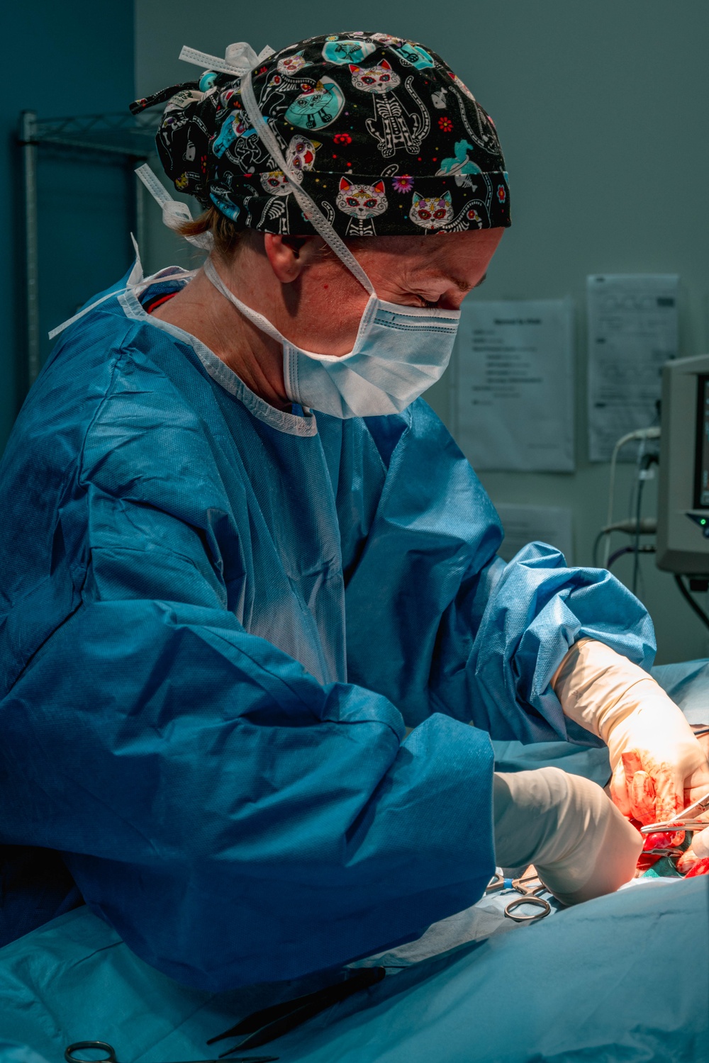 Public Health Activity-Hawaii Personally Owned Animal Spay