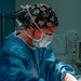 Public Health Activity-Hawaii Personally Owned Animal Spay