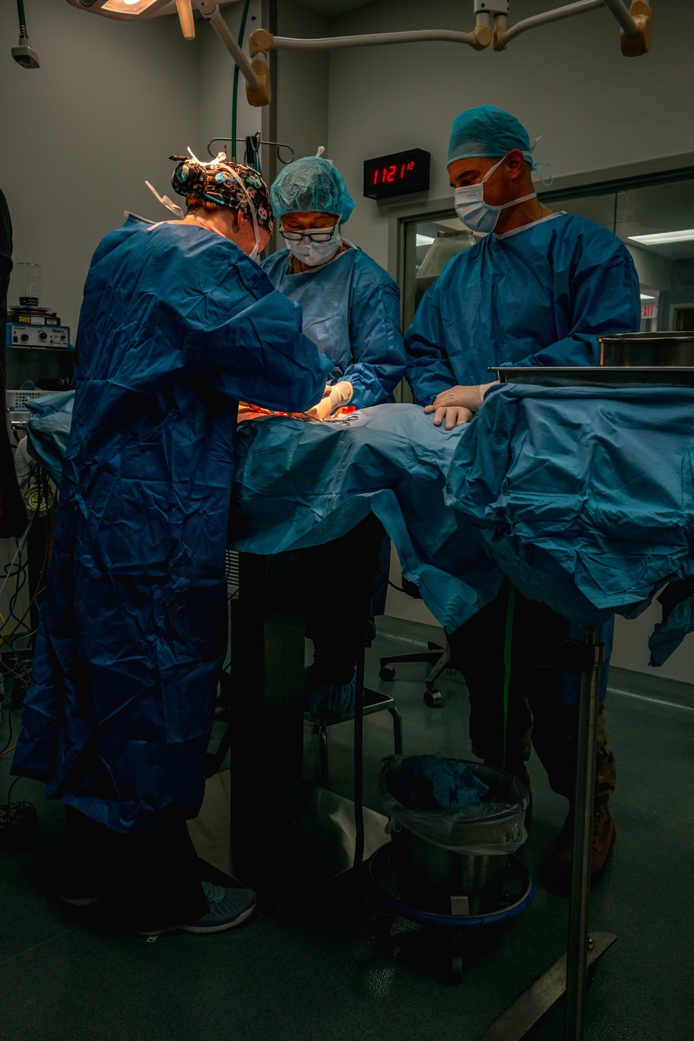 Public Health Activity-Hawaii Personally Owned Animal Spay