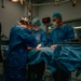 Public Health Activity-Hawaii Personally Owned Animal Spay