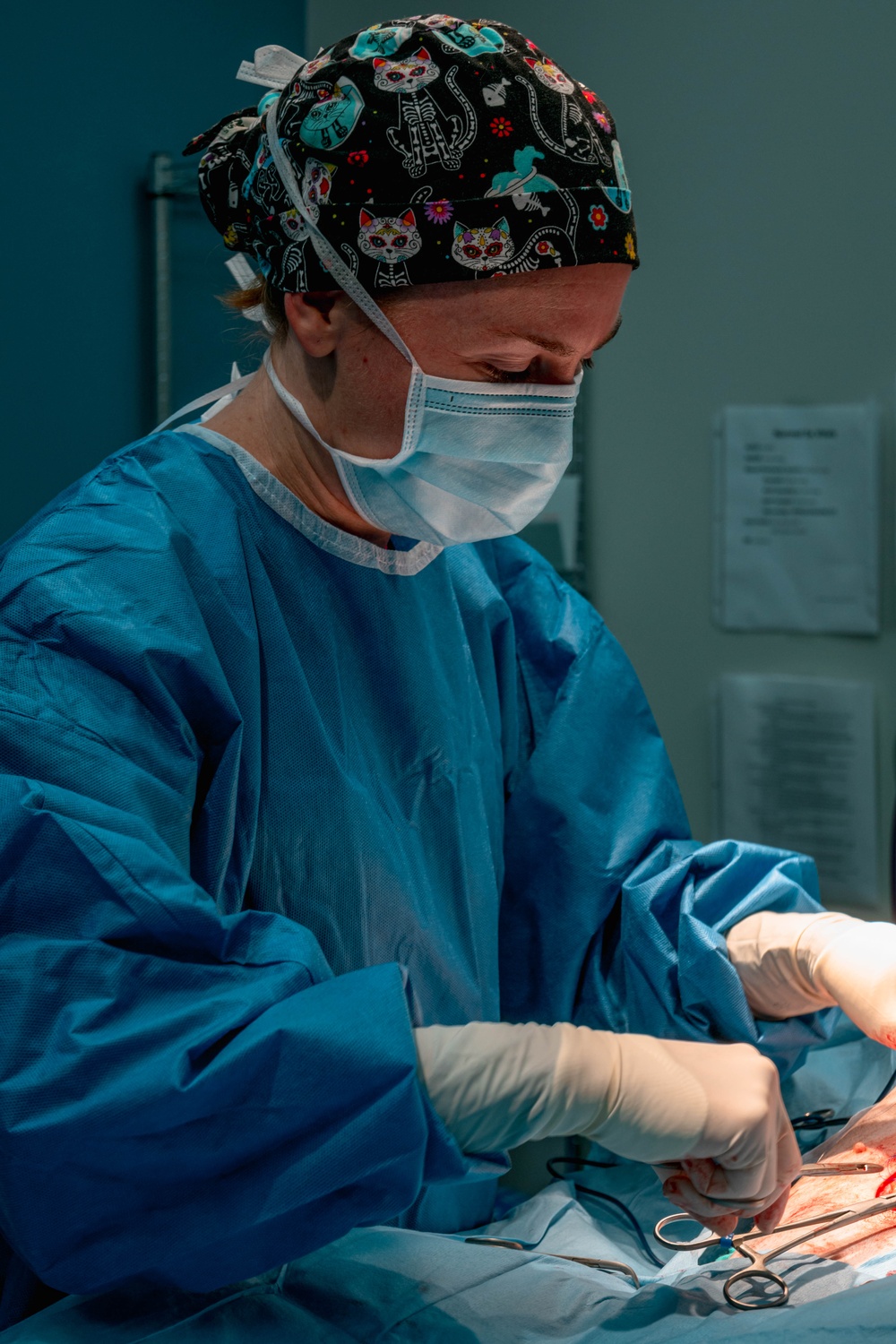 Public Health Activity-Hawaii Personally Owned Animal Spay