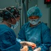 Public Health Activity-Hawaii Personally Owned Animal Spay