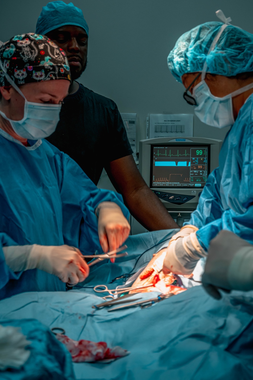 Public Health Activity-Hawaii Personally Owned Animal Spay