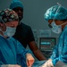 Public Health Activity-Hawaii Personally Owned Animal Spay