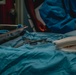 Public Health Activity-Hawaii Personally Owned Animal Spay