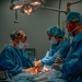 Public Health Activity-Hawaii Personally Owned Animal Spay