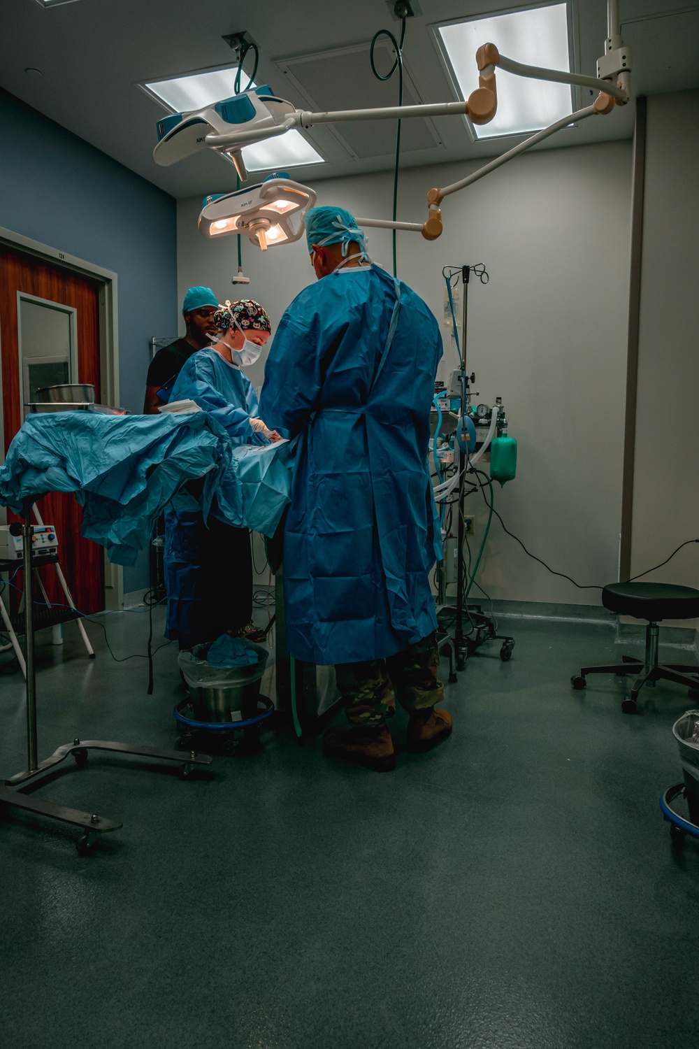 Public Health Activity-Hawaii Personally Owned Animal Spay