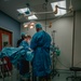 Public Health Activity-Hawaii Personally Owned Animal Spay