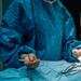 Public Health Activity-Hawaii Personally Owned Animal Spay