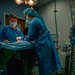 Public Health Activity-Hawaii Personally Owned Animal Spay
