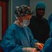 Public Health Activity-Hawaii Personally Owned Animal Spay