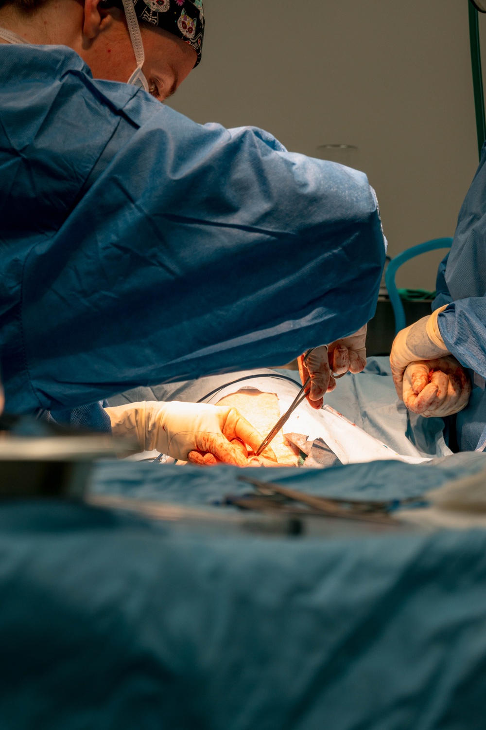 Public Health Activity-Hawaii Personally Owned Animal Spay