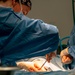 Public Health Activity-Hawaii Personally Owned Animal Spay