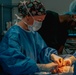 Public Health Activity-Hawaii Personally Owned Animal Spay