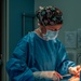 Public Health Activity-Hawaii Personally Owned Animal Spay
