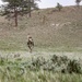 Iowa infantrymen conduct squad live-fire exercise at Camp Guernsey