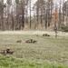 Iowa infantrymen conduct squad live-fire exercise at Camp Guernsey