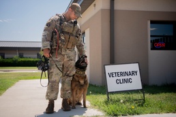 Military Working Dogs receive eye exams