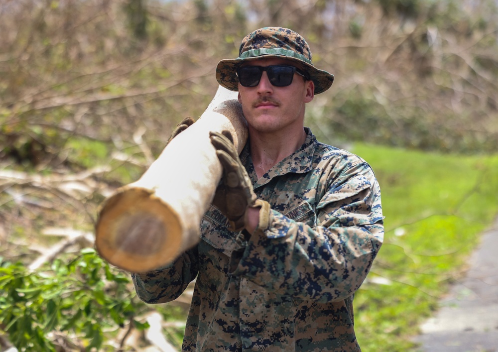 DVIDS - Images - MALS 16 Conducts Post Typhoon Recovery [Image 1 of 3]