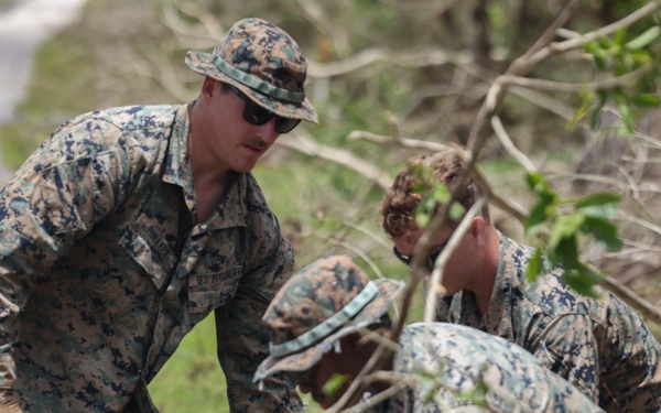Came to Train, Stayed to Help: 3rd MAW Marines Assist in Typhoon Recovery Efforts