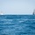 U.S. Coast Guard Cutter Sails with Royal Saudi Navy ship and USV