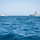 U.S. Coast Guard Cutter Sails with Royal Saudi Navy ship and USV