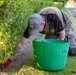 Ground crews prepare Oise-Aisne American Cemetery