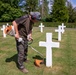 Ground crews prepare Oise-Aisne American Cemetery