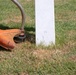 Ground crews prepare Oise-Aisne American Cemetery