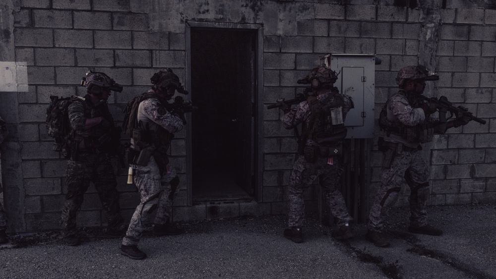 2d Recon and EODMU8 Own the Night