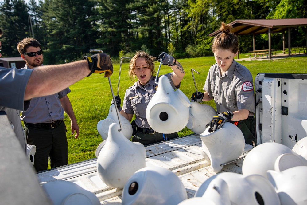 Headwaters Highlight: Rangers welcome bird watchers to Berlin Lake as a growing birding hotspot