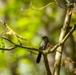 Headwaters Highlight: Rangers welcome bird watchers to Berlin Lake as a growing birding hotspot