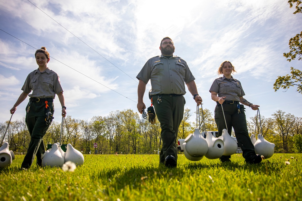 Headwaters Highlight: Rangers welcome bird watchers to Berlin Lake as a growing birding hotspot