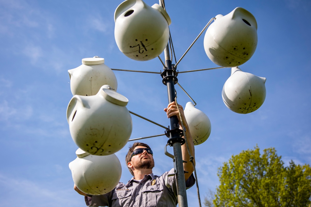 Headwaters Highlight: Rangers welcome bird watchers to Berlin Lake as a growing birding hotspot