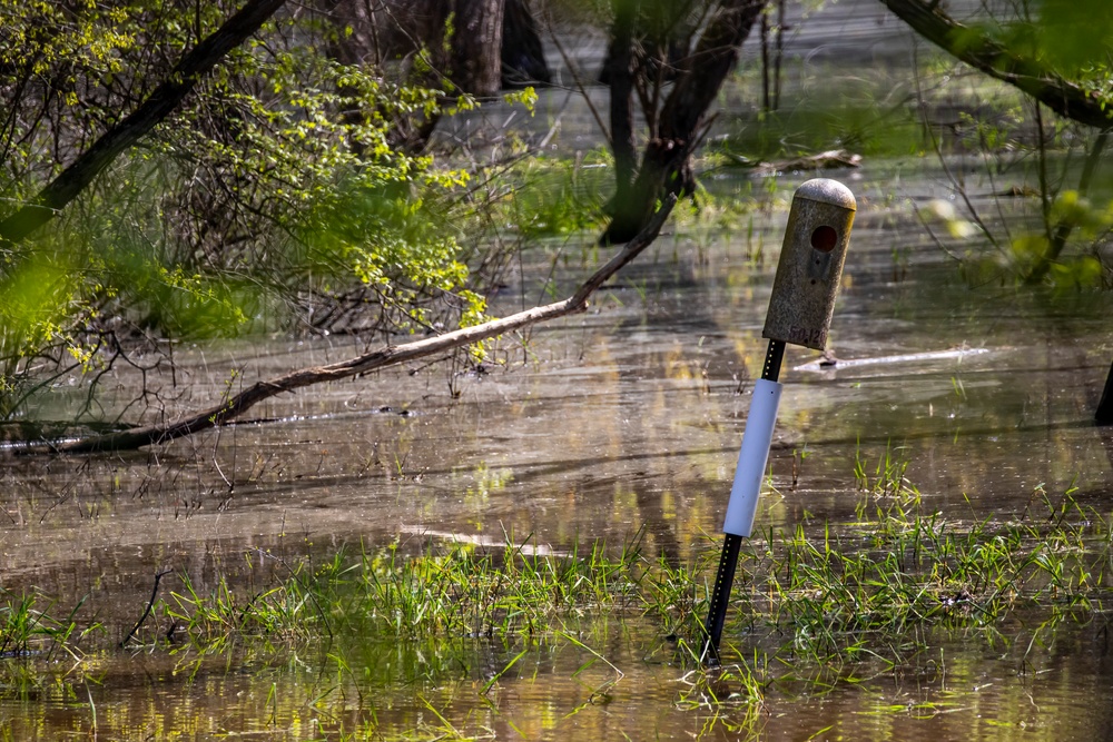 Headwaters Highlight: Rangers welcome bird watchers to Berlin Lake as a growing birding hotspot