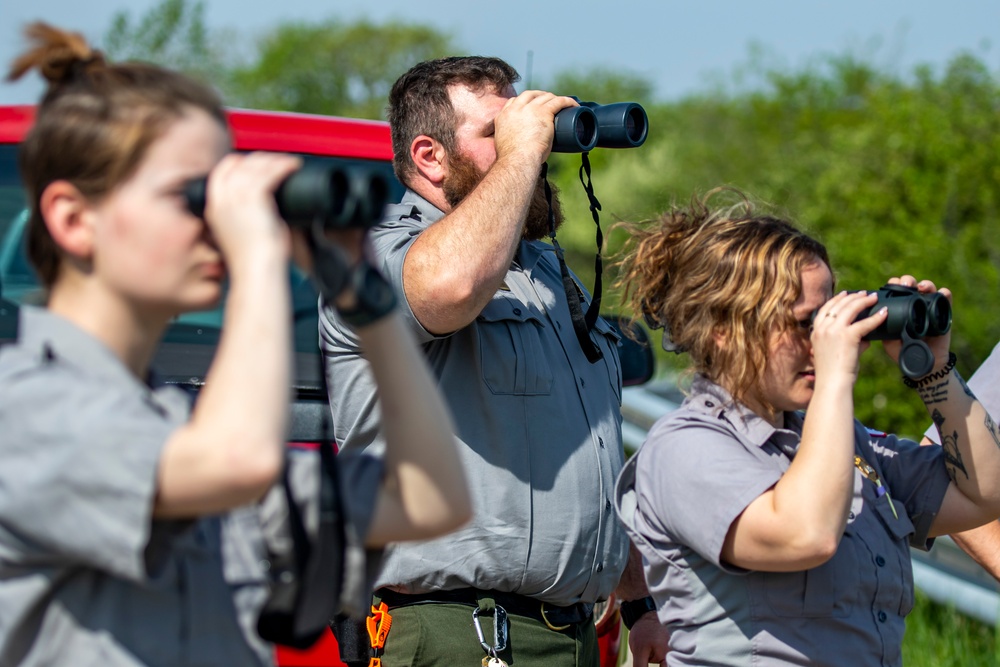 Headwaters Highlight: Rangers welcome bird watchers to Berlin Lake as a growing birding hotspot