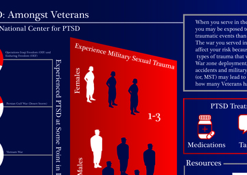 PTSD Graphic